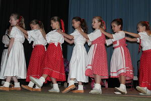 Den matek 2014