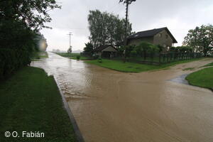Petřvald