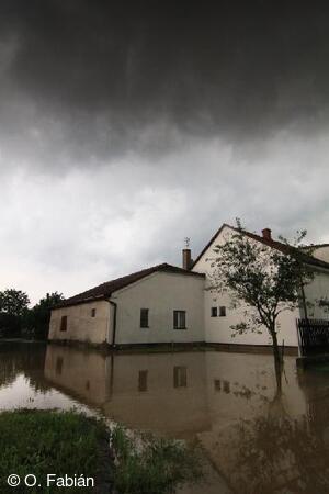 Petřvald
