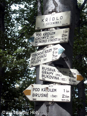 Zřícenina hradu Křídlo