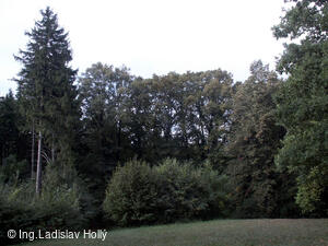 Arboretum Sola gratia, Bystřice pod Hostýnem