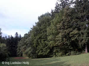 Arboretum Sola gratia, Bystřice pod Hostýnem