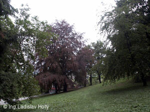 Arboretum Sola gratia, Bystřice pod Hostýnem
