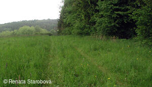 Studánka Ohloběnka