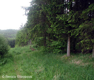 Studánka Ohloběnka