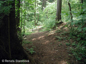 Studánka Ohloběnka