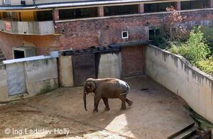 ZOO Praha