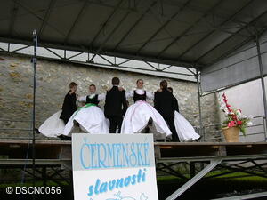 Národopisný soubor Olšina