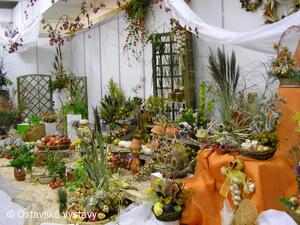 život na zahradě 2005