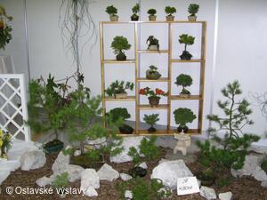život na zahradě 2005