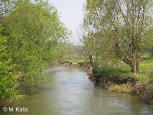 Petřvald