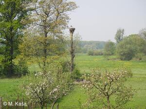 Petřvald