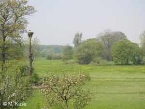 Petřvald