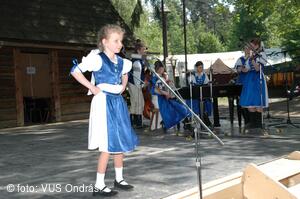 Mezinárodní armádní festival Rožnovská Valaška