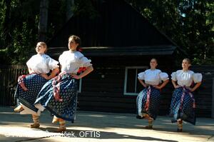 Folklorní festival Slezské dny