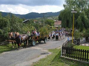 Študlov