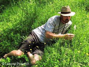 Survival pobyt pod Kykulou