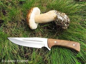 Survival pobyt pod Kykulou