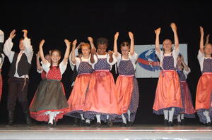 Mezinárodní folklorní festival Frýdek-Místek