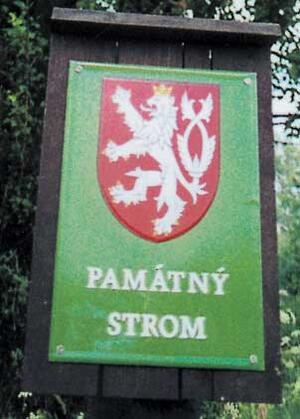 Památný strom