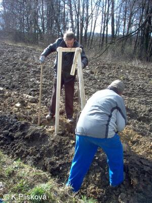 Petřvald