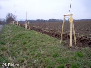 Petřvald