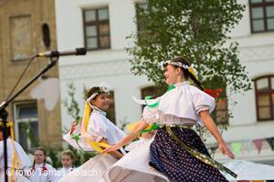 Mezinárodní folklorní festival Frýdek-Místek