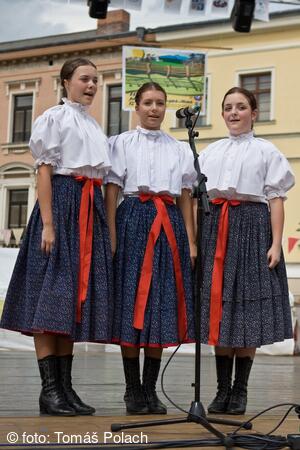 Mezinárodní folklorní festival Frýdek-Místek