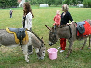 Piknik v obecním parku 2009