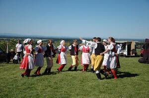 Mikroregion Podhůří Železných hor