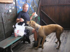 Krkonoše 2009