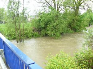 Odra - hranice mezi Vražným a Mankovicemi v pondělí 17.5.2010 - proti proudu