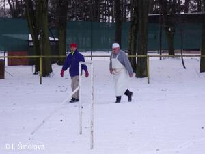 Petřvald
