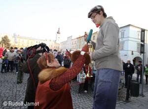 Masopust 2011