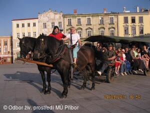 Den bez aut 2011