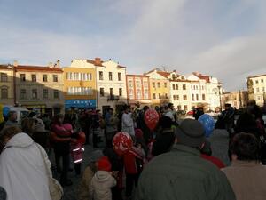 MASOPUST 2012
