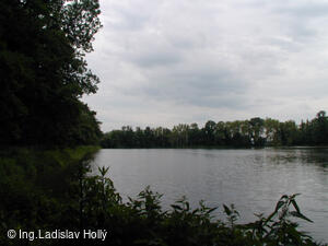 Tovačov, rybník Kolečko