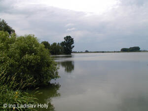 Tovačov, Hradecký rybník
