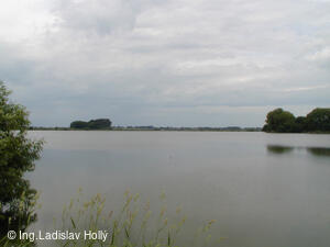 Tovačov, Hradecký rybník