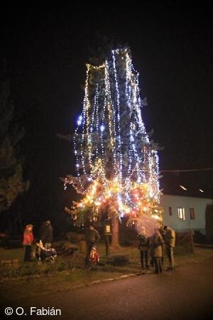 Petřvald